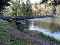 Barrage d'Altenweiher - (c) Photo : Collectivité européenne d'Alsace - S. Cuenot