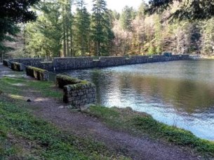 Barrage d'Altenweiher - (c) Photo : Collectivité européenne d'Alsace - S. Cuenot